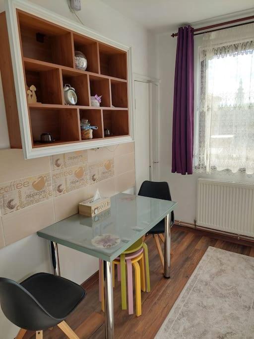 Apartament In Sighetu Marmatiei 아파트 외부 사진